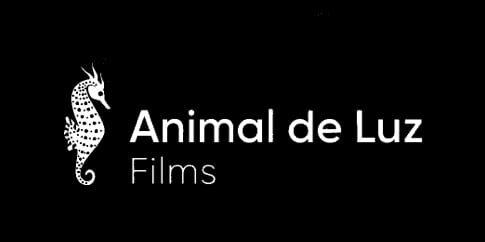 animal-company animal-company